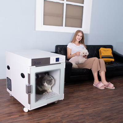 Der automatische Hund, der Kasten-negative Ionen entfernen trocknet effektiv, Bakterien, Haar zu erweichen