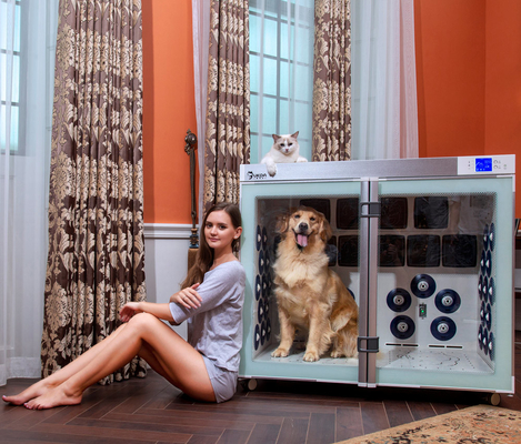 220V 2500W Gebläse des Haustier-trockenere Käfig-6 lärmarm für Hundedas pflegen