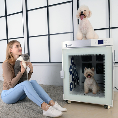Kabinett-Hundehaartrockner-Maschine negativer Ion Bath Near Infrared Therapy