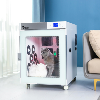 CER-HAUSTIER Trockenraum für Cat Air Blowing 50Kg PTC mit Staubabsaugung