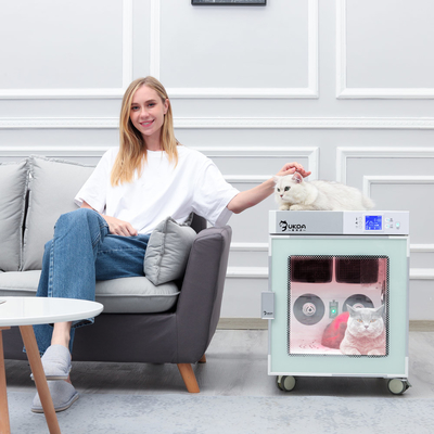 Bewegungshaustier, das Kasten negativen Ion Bath Near Infrared Therapy 1200W trocknet