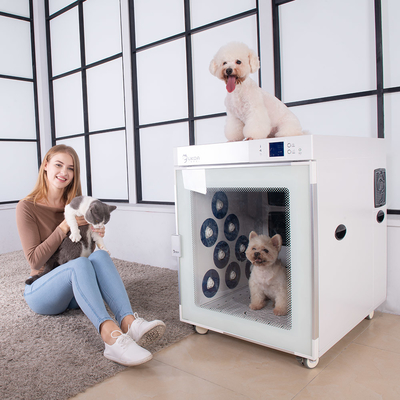 Haustier-Pflegenkäfig-Trockner-Sauerstoff-Herstellung 220V 2500W mit 4 Gebläsen