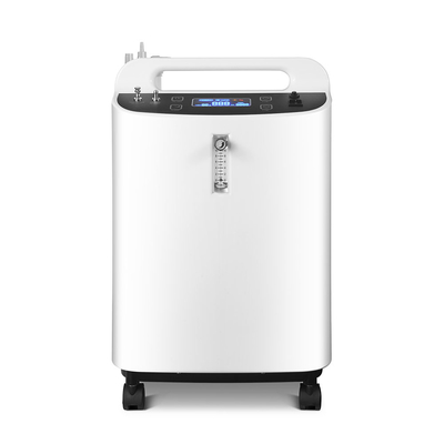 Verdichter-Maschine O2-220V, Sauerstoff-Maschine 10l mit atomisieren Funktion